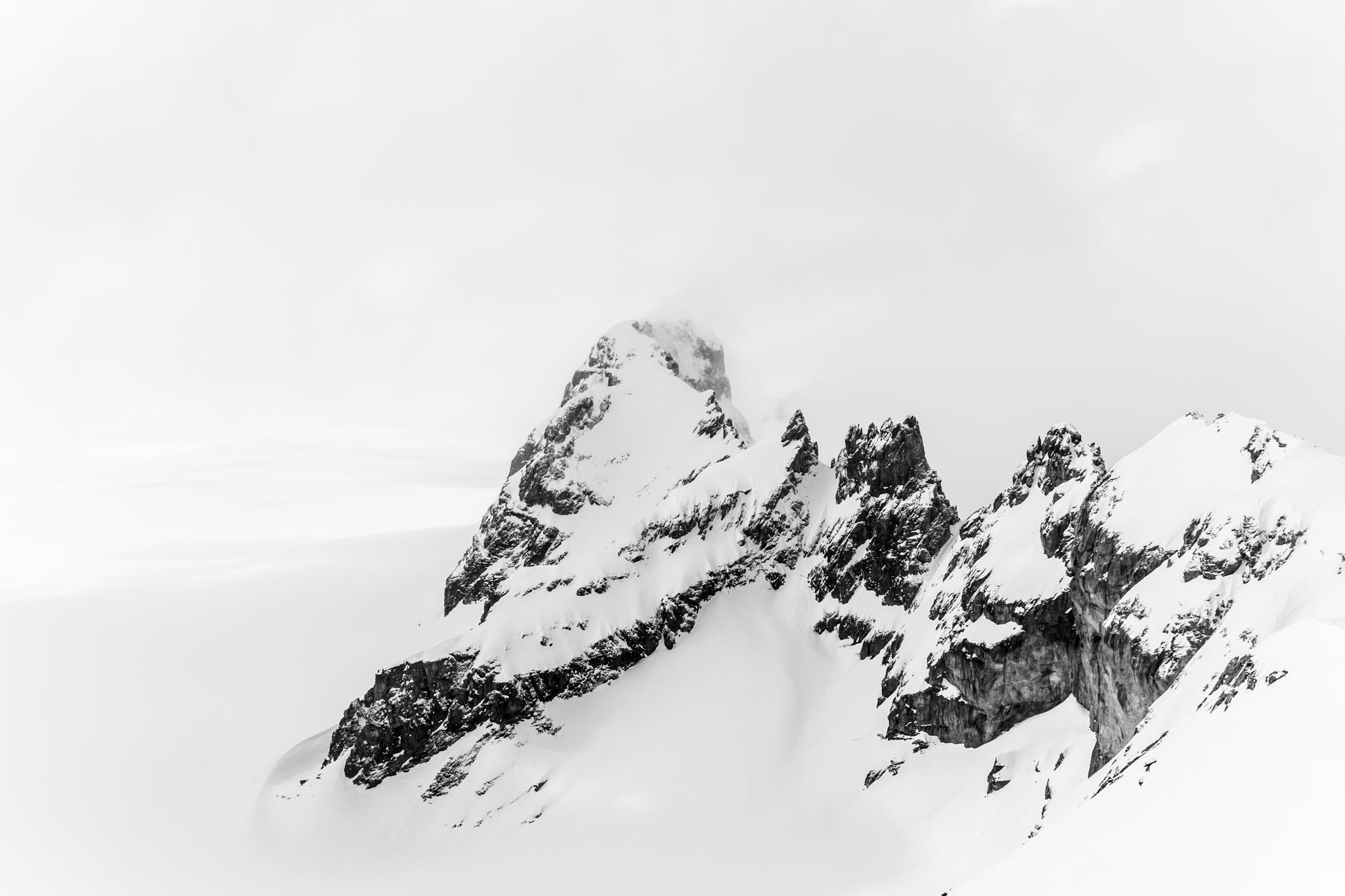 20150322_6637_ASC.jpg